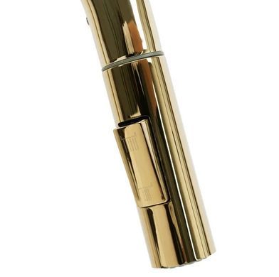 Змішувач для кухні REA FRESH GOLD золотий