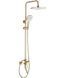 Душевой гарнитур REA ARGUS BRUSHED GOLD золотой матовый с изливом