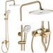 Душевой гарнитур REA ARGUS BRUSHED GOLD золотой матовый с изливом