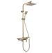 Душевой гарнитур REA BRAVO BRUSHED GOLD матовое золото с изливом *