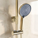 Душевой гарнитур REA FOSTER BRUSHED GOLD