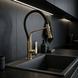 Смеситель для кухни REA CASTOR BLACK BRUSHED GOLD
