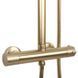 Душевой гарнитур REA TOM BRUSHED GOLD матовое золото с термостатом