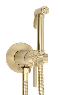 Набор гигиенического душа REA FOSTER BRUSHED GOLD