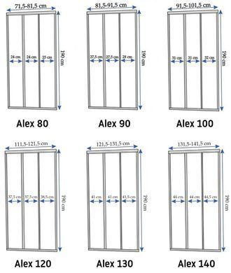 Душевая дверь REA ALEX 120 CHROME
